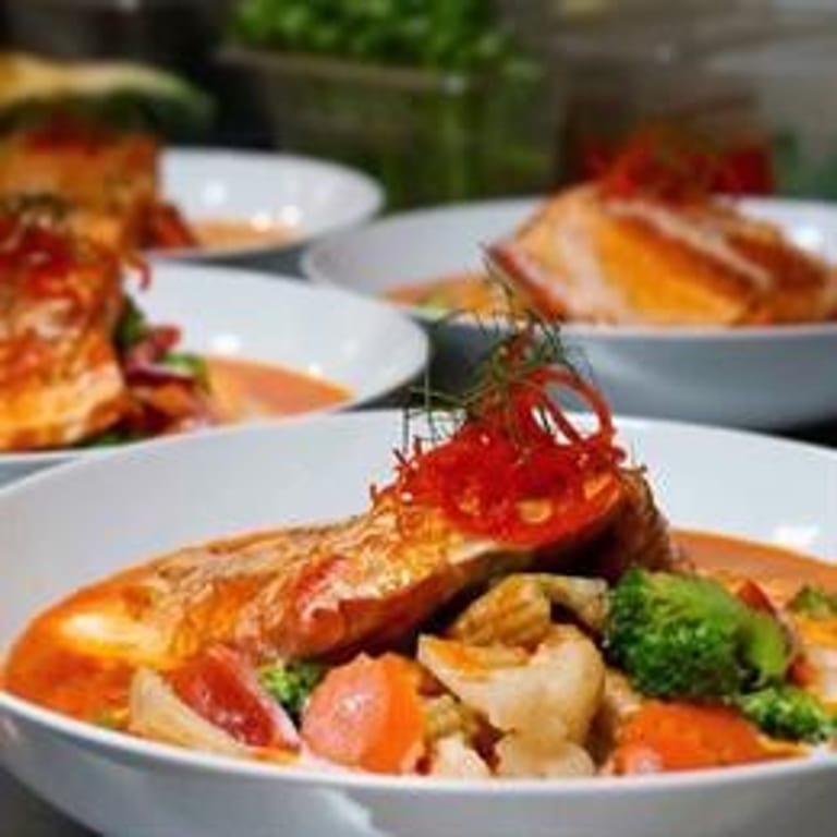 Delicious Salmon Dishes